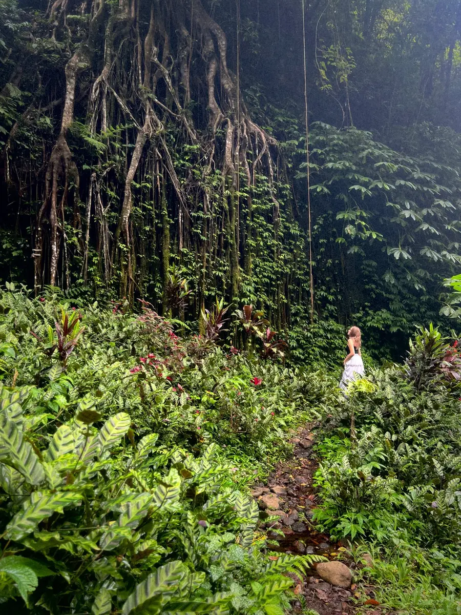 À la découverte de Bali, l'île des dieux — photo 6