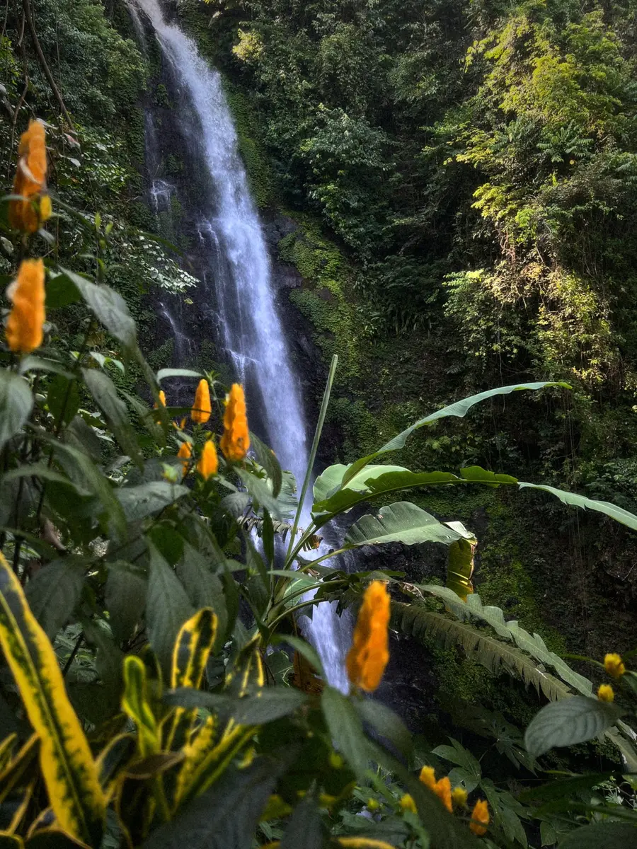 À la découverte de Bali, l'île des dieux — photo 12