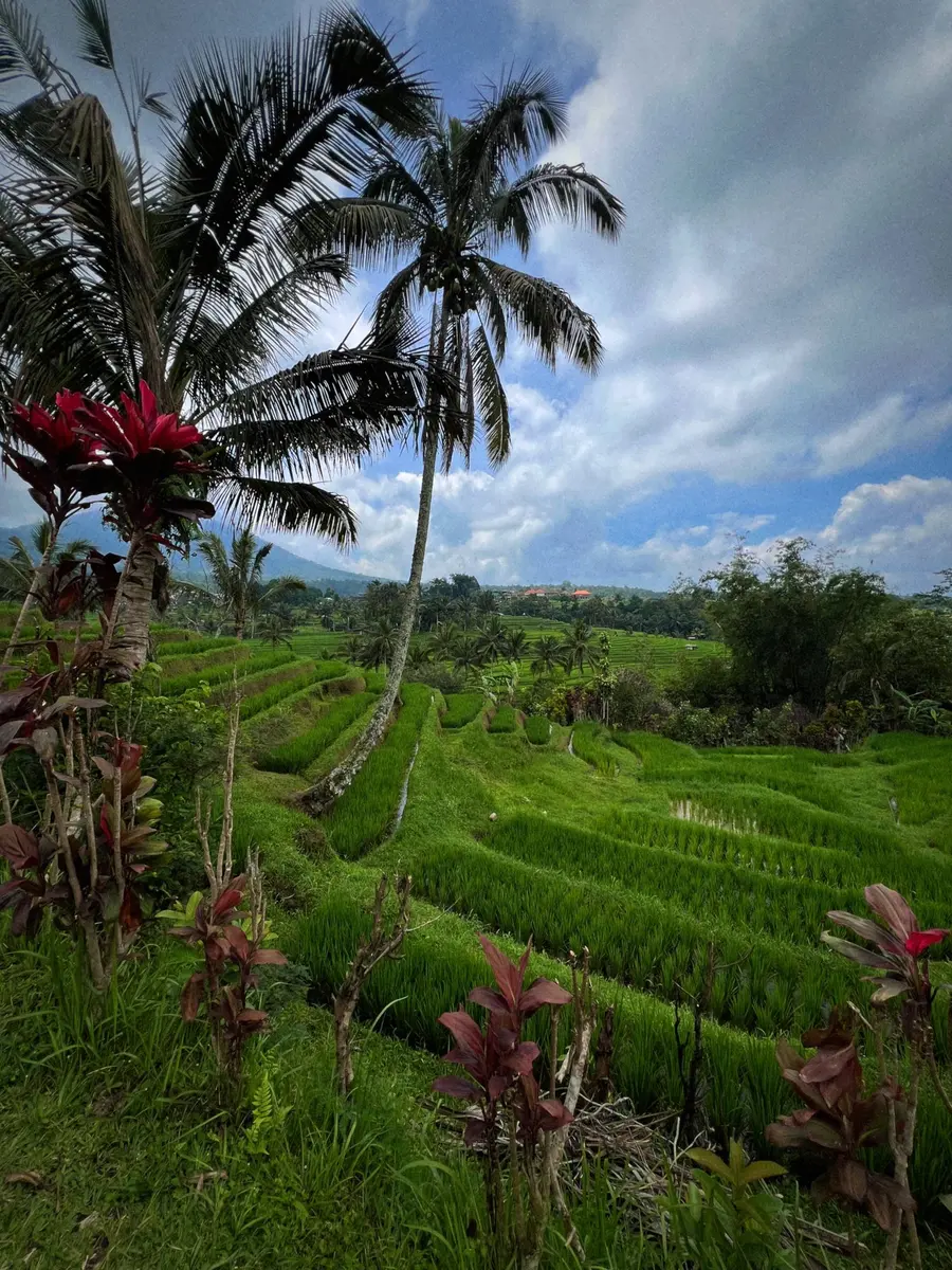 À la découverte de Bali, l'île des dieux — photo 18