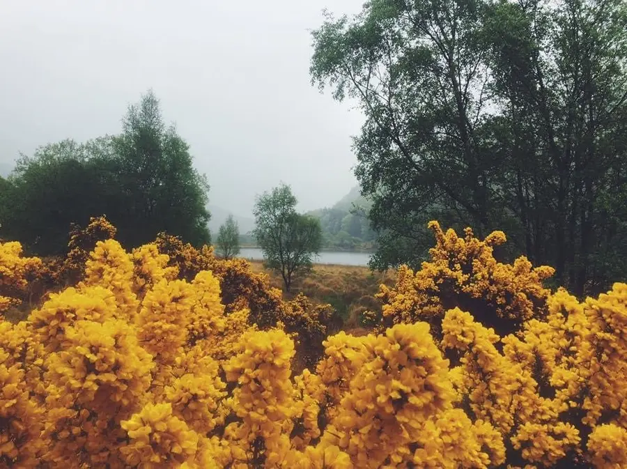 Une immersion à Dublin, entre ville et nature irlandaise — photo 17