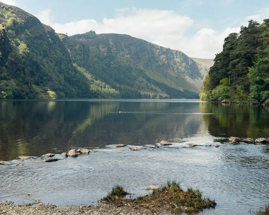 Une immersion à Dublin, entre ville et nature irlandaise — photo 18