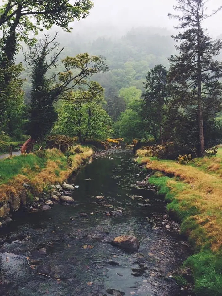 Une immersion à Dublin, entre ville et nature irlandaise — photo 20