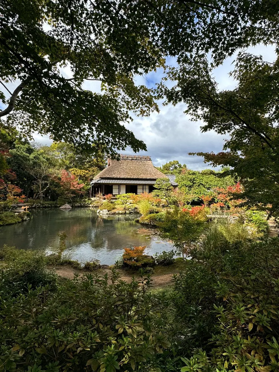 Un mois au Japon : mes coups de cœur — photo 19