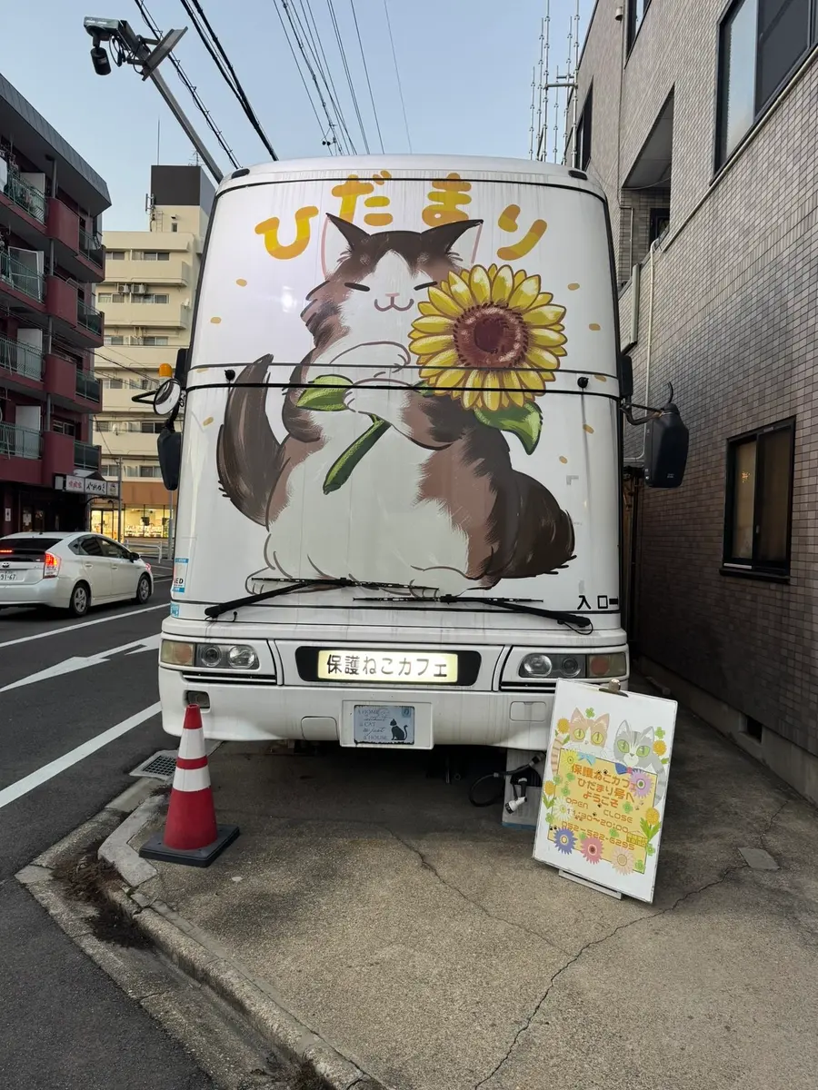 Un mois au Japon : mes coups de cœur — photo 22