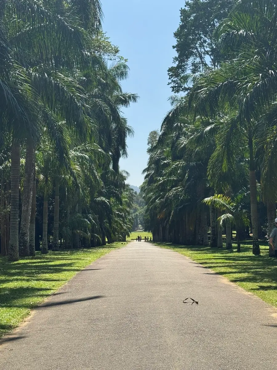 Une aventure inattendue au Sri Lanka — photo 14