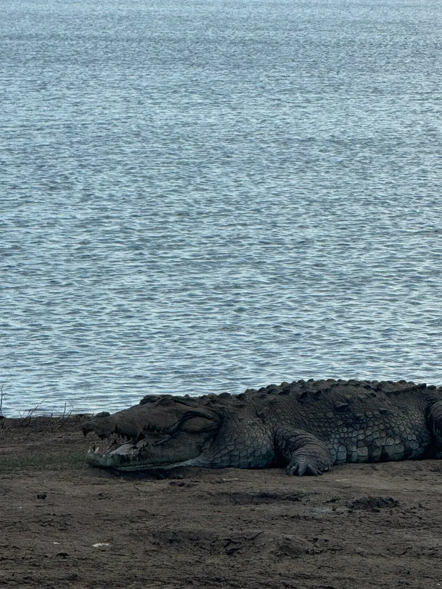 Une aventure inattendue au Sri Lanka — photo 28