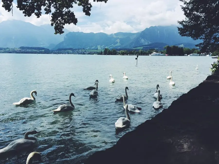 La Suisse, bien plus qu'un cliché : le pays qui me surprend à chaque visite — photo 12