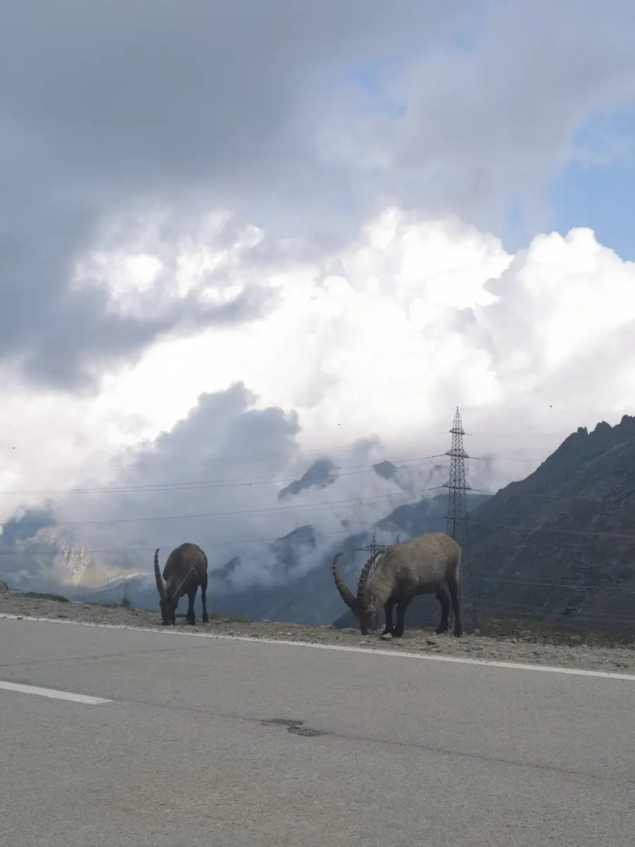 La Suisse, bien plus qu'un cliché : le pays qui me surprend à chaque visite — photo 29