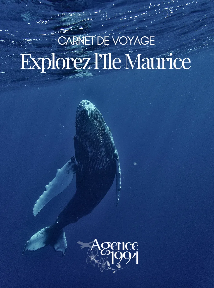 Carnet Île Maurice 2026